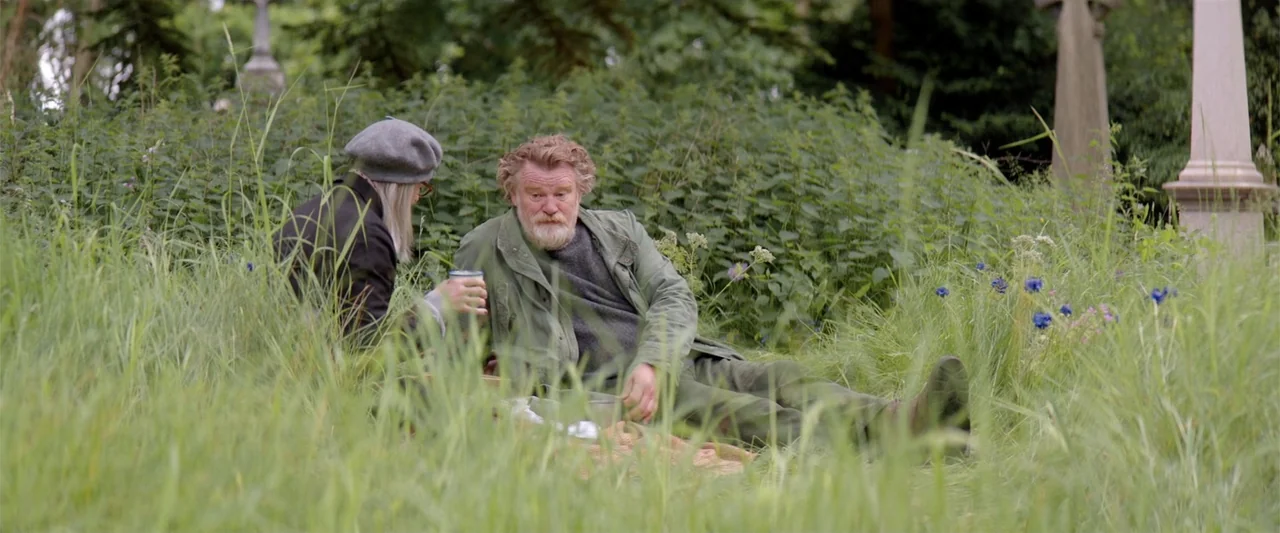 Hampstead (2017) movie still: medium — An overgrown area filled with tall green grass, weeds, and distant stone grave markers. An elderly man and…