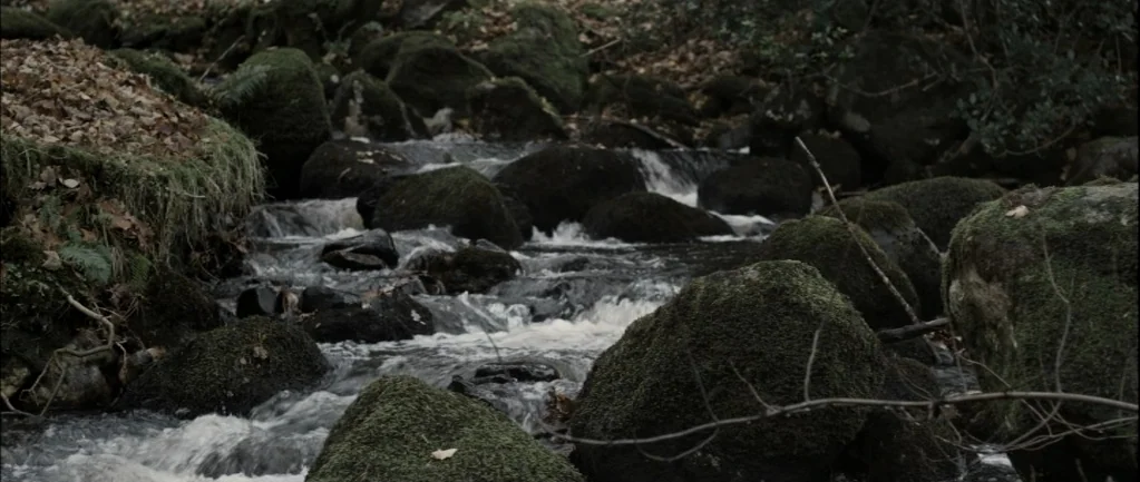 One Hundred Mornings (2009) movie still: establishing — A rushing stream flows through a forest between large moss-covered boulders. Autumnal brown…