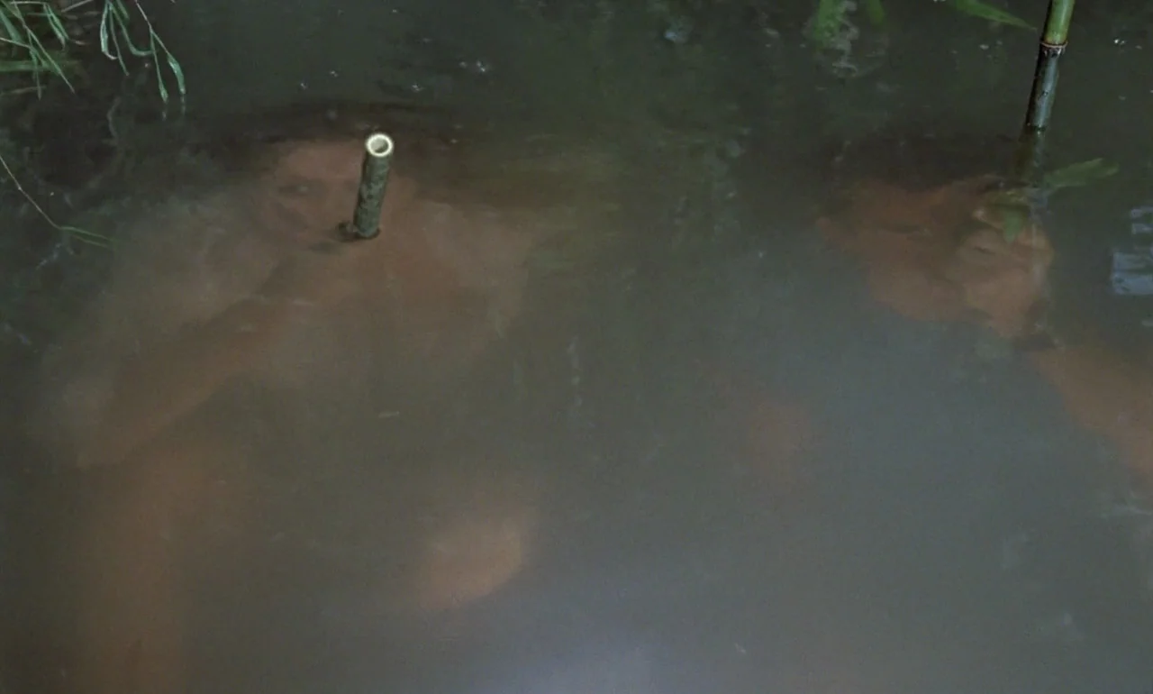 Dr. No (1962) movie still: medium — A murky body of water containing two individuals hiding beneath the surface. Each person holds a bamboo tube…