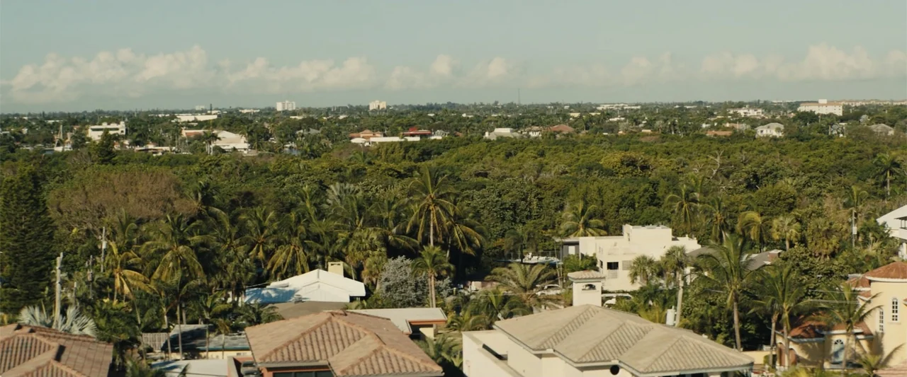 Those Who Wish Me Dead (2021) movie still: establishing — A dense suburban residential area is surrounded by lush green tropical trees and…