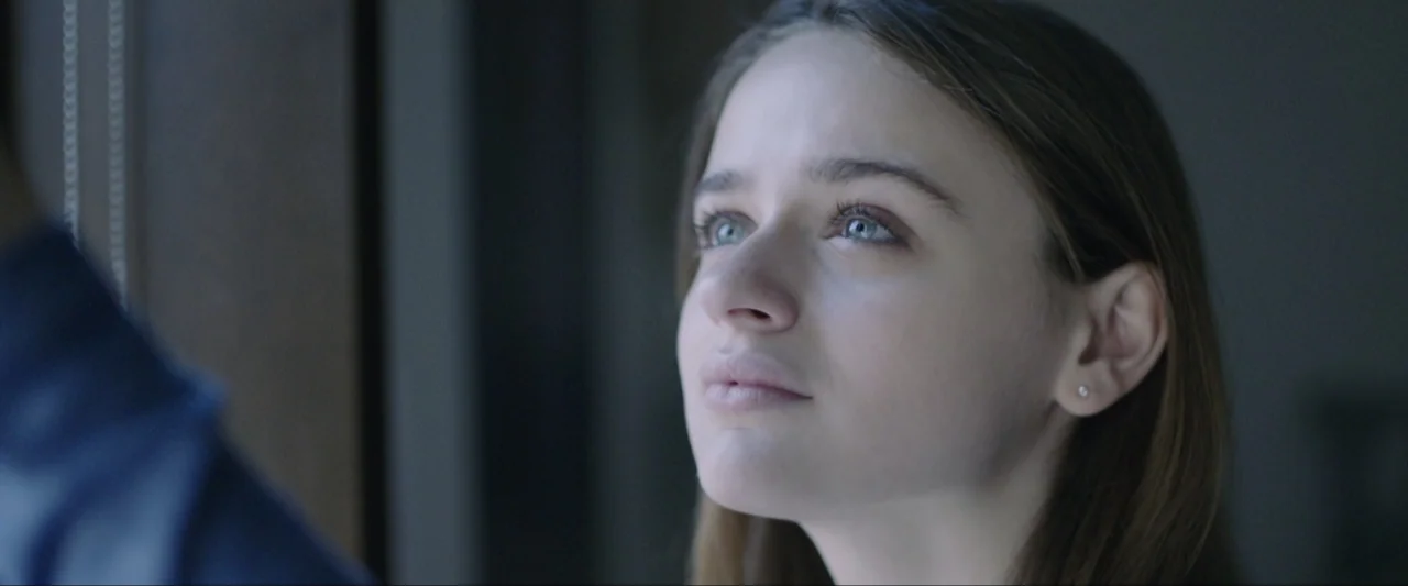 The Lie (2018) movie still: closeup — A dimly lit indoor space with a window casting light on a subject. A young woman looks off-camera while…