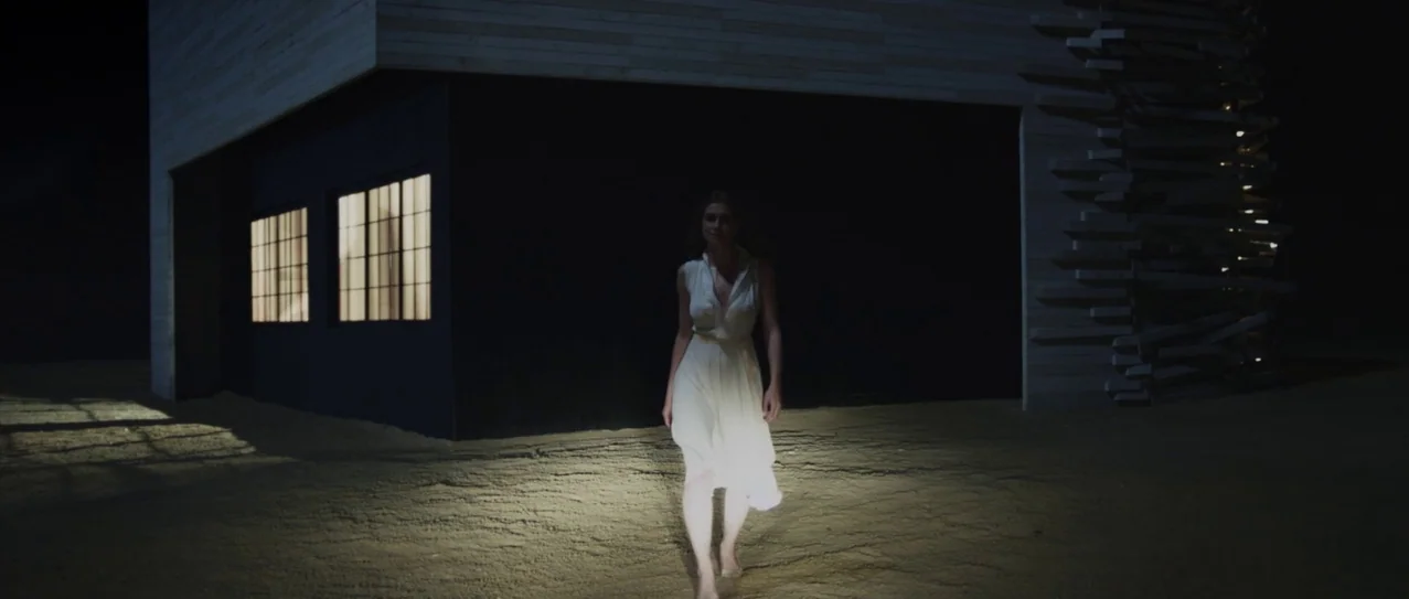 Vanishing Waves (2012) movie still: fullbody — A woman walks across dark sand in front of a modern wood-clad structure at night. The building has…