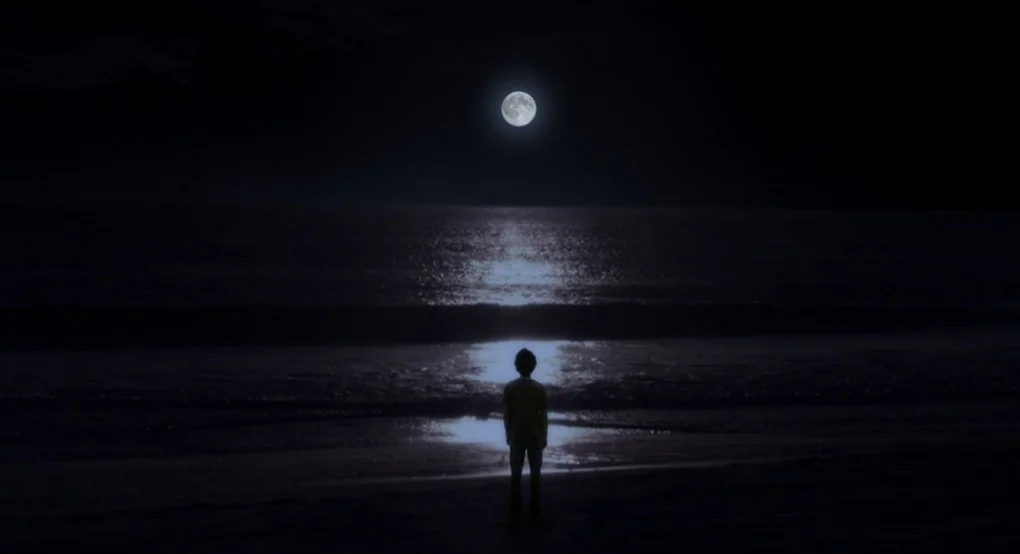 The Future (2011) movie still: wide — A dark sandy beach borders a calm ocean under a clear night sky. A lone child stands on the shore looking at…