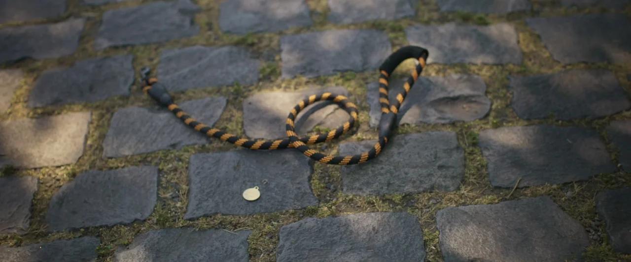 Dog Life (2024) movie still: establishing — A dark gray cobblestone path is textured with moss in the crevices. A black and orange striped dog leash…