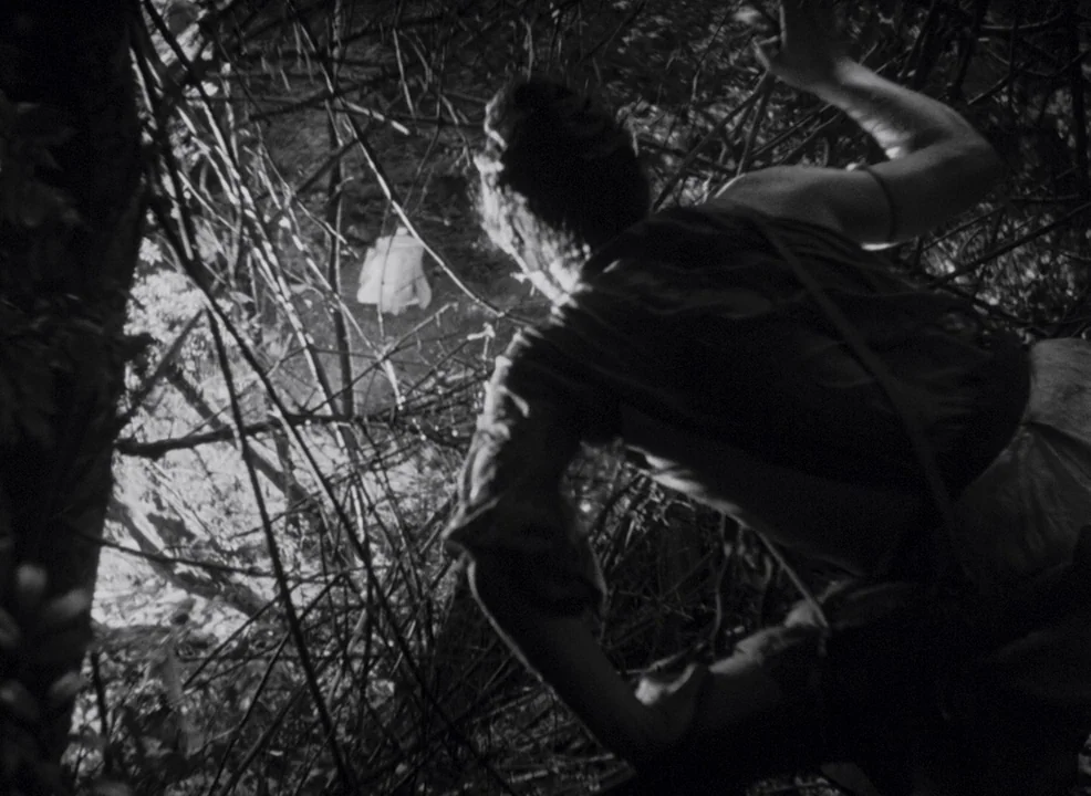 Rashomon (1950) movie still: medium — A dense thicket of tangled branches and foliage obscures a sunlit clearing below. A man crouches in the…