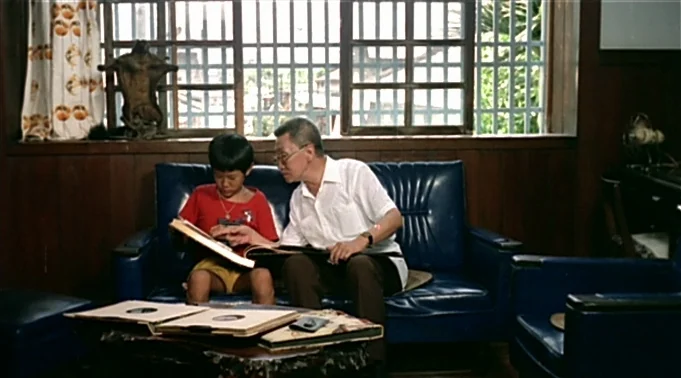 A Summer at Grandpa’s (1984) movie still: medium — A living room features wood-paneled walls and a grid-patterned window behind a blue sofa. An…