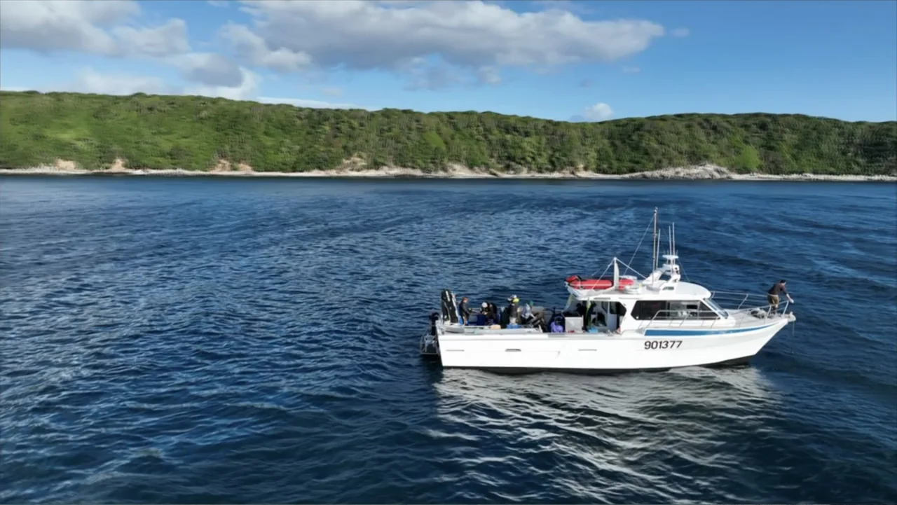 Shark Week: Off the Hook (2023) movie still: wide — A small white motorboat travels across deep blue water near a green hilly coastline. Several…