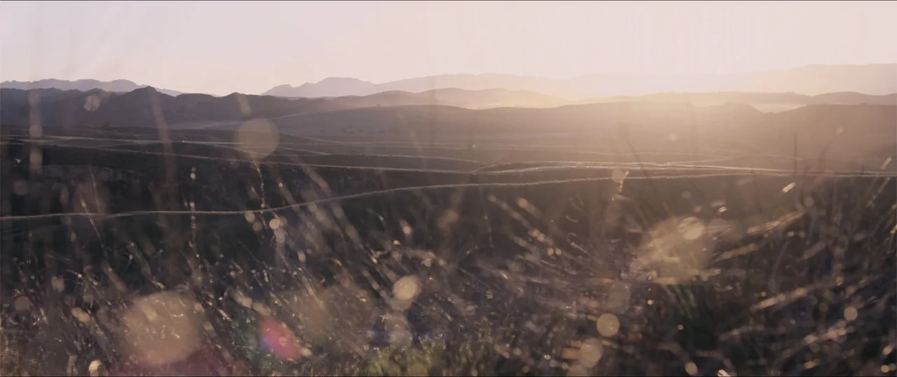 Woman of the Hour (2024) movie still: establishing — A vast landscape of rolling hills extends toward distant mountains under a warm sky. The…