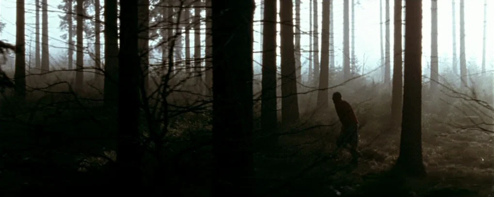 Calvaire (2004) movie still: wide — A dense coniferous forest floor covered in twigs and low undergrowth in thick fog. A lone man in a red shirt…