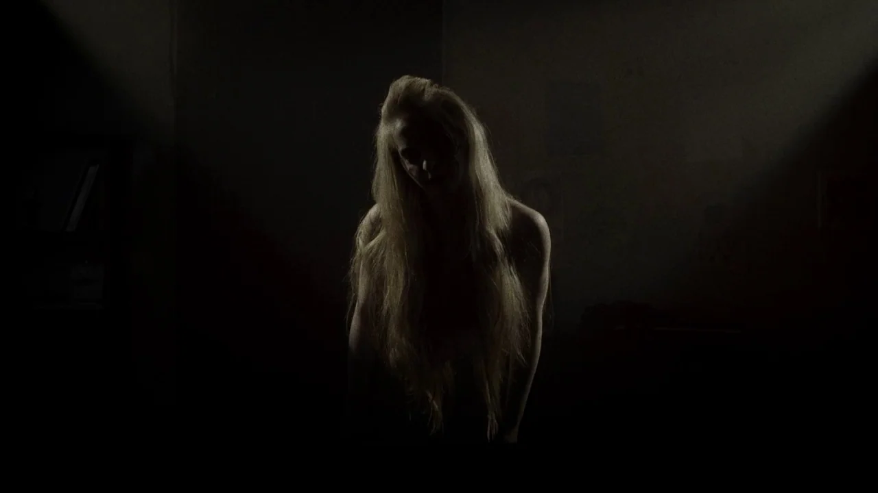 Suburban Gothic (2014) movie still: medium — A dark, minimally lit room with indistinct walls and shadows. A woman with long blonde hair stands in…