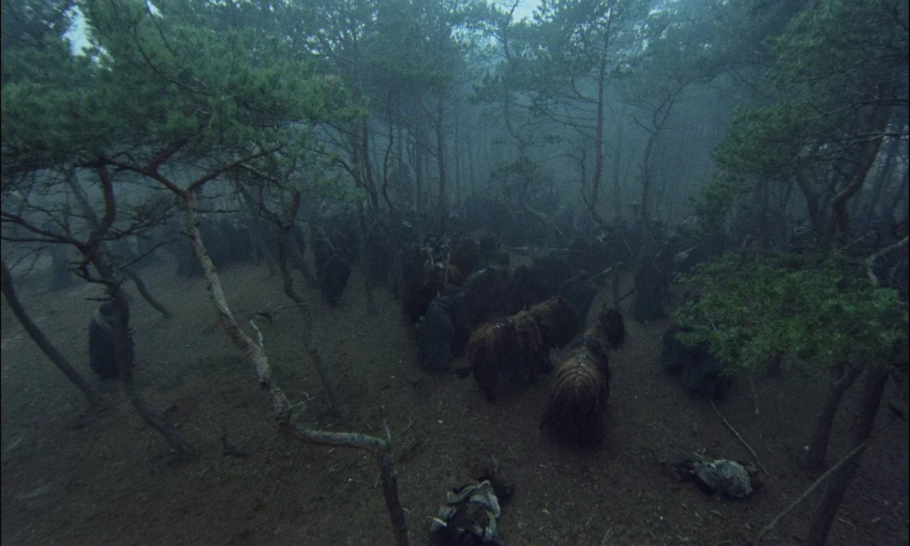 On The Silver Globe (1988) movie still: wide — A dense cluster of pine trees stands in a misty, dark woodland area. Several figures wearing heavy,…