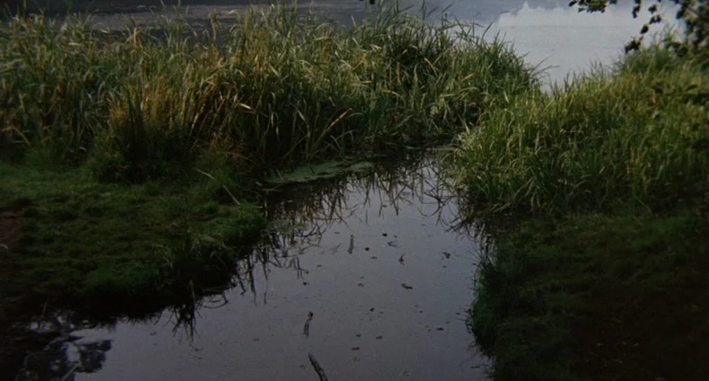 Demons of the Mind (1972) movie still: establishing — A slow-moving stream winds through thick, tall grasses on a dark, overcast day. The surface of…