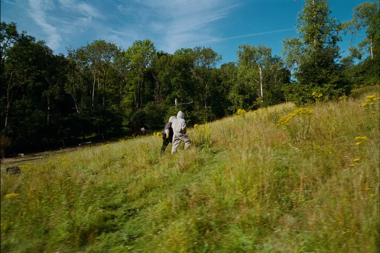 Bugonia (2025) movie still: wide — A grassy hill rises toward a dense forest under a clear summer sky. Two people wearing white protective gear…