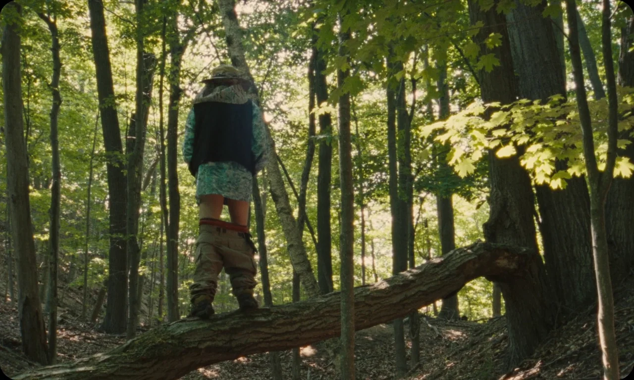 Vulcanizadora (2024) movie still: fullbody — A dense patch of temperate woodland features a large, moss-covered log resting horizontally. An…