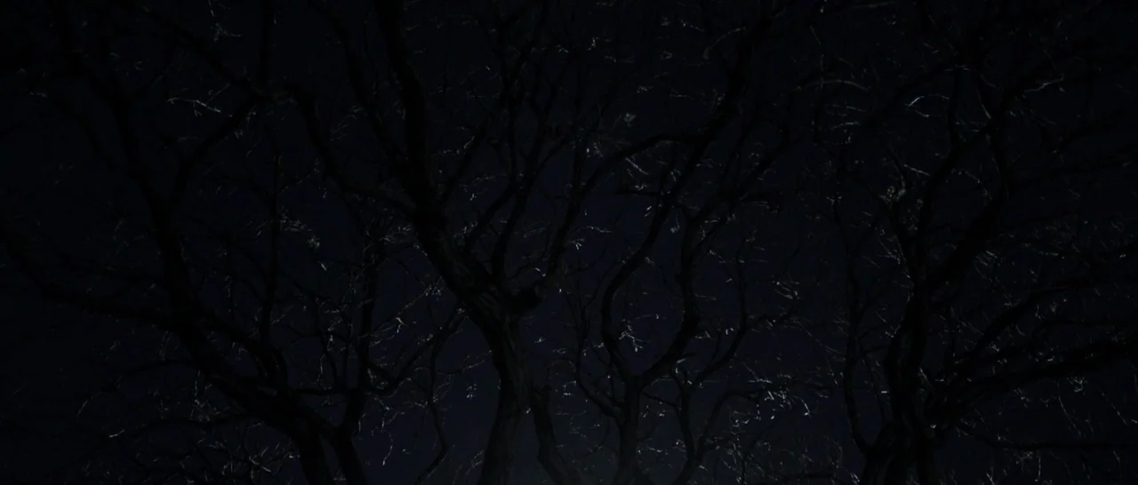 The Babadook (2014) movie still: establishing — Bare tree branches stretch across the frame against a black night sky. The silhouette of the…