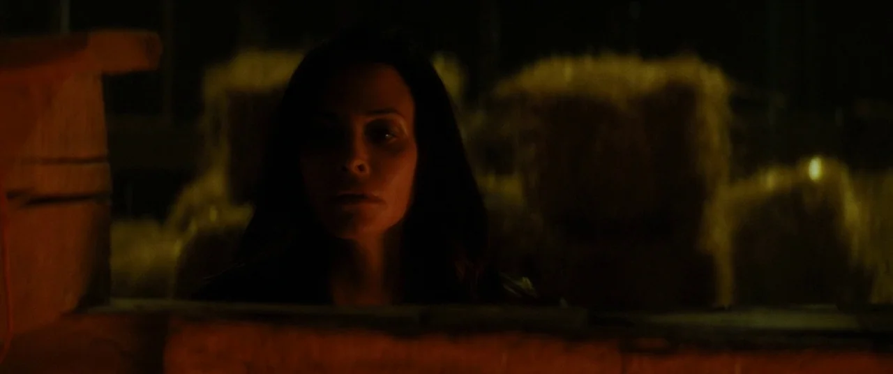 Scream 4 (2011) movie still: closeup — The interior of a barn at night with stacked hay bales blurred in background. A woman stares into the…