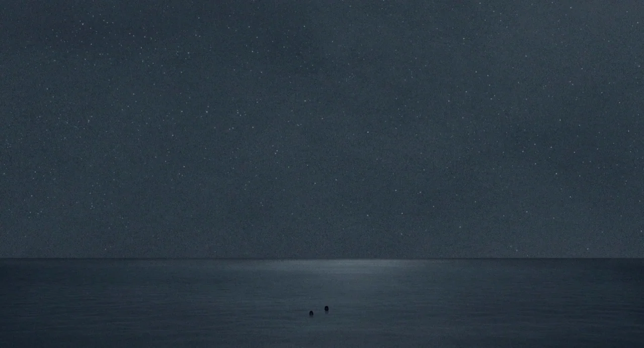 The Red Turtle (2016) movie still: establishing — A vast expanse of calm dark water stretches toward a horizon line under stars. The night sky…