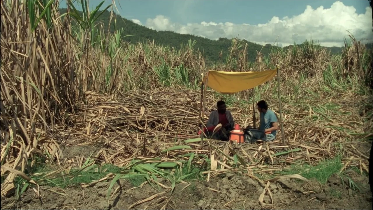 Cut (2000) movie still: wide — A vast field filled with harvested sugarcane stalks under a bright daytime sky. Two men sit together beneath a small…