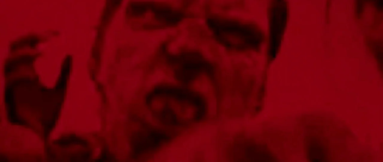 Dawn of the Dead (2004) movie still: closeup — The frame shows a tightly cropped close-up of a man's face in distress. He appears to be yelling…