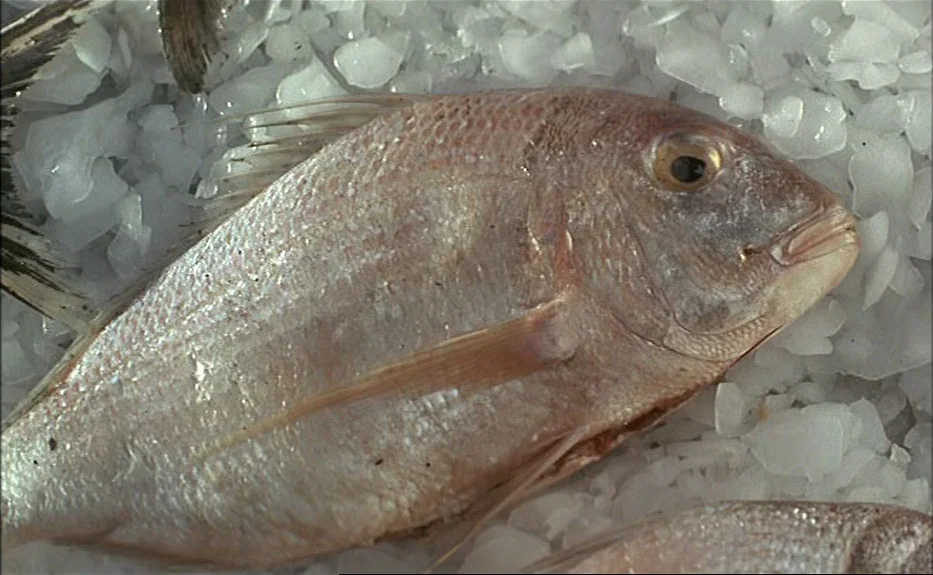 Les Amants Du Pont Neuf (The Lovers on the Bridge) (1991) movie still: closeup — A whole pink-hued fish rests on a layer of jagged, translucent…