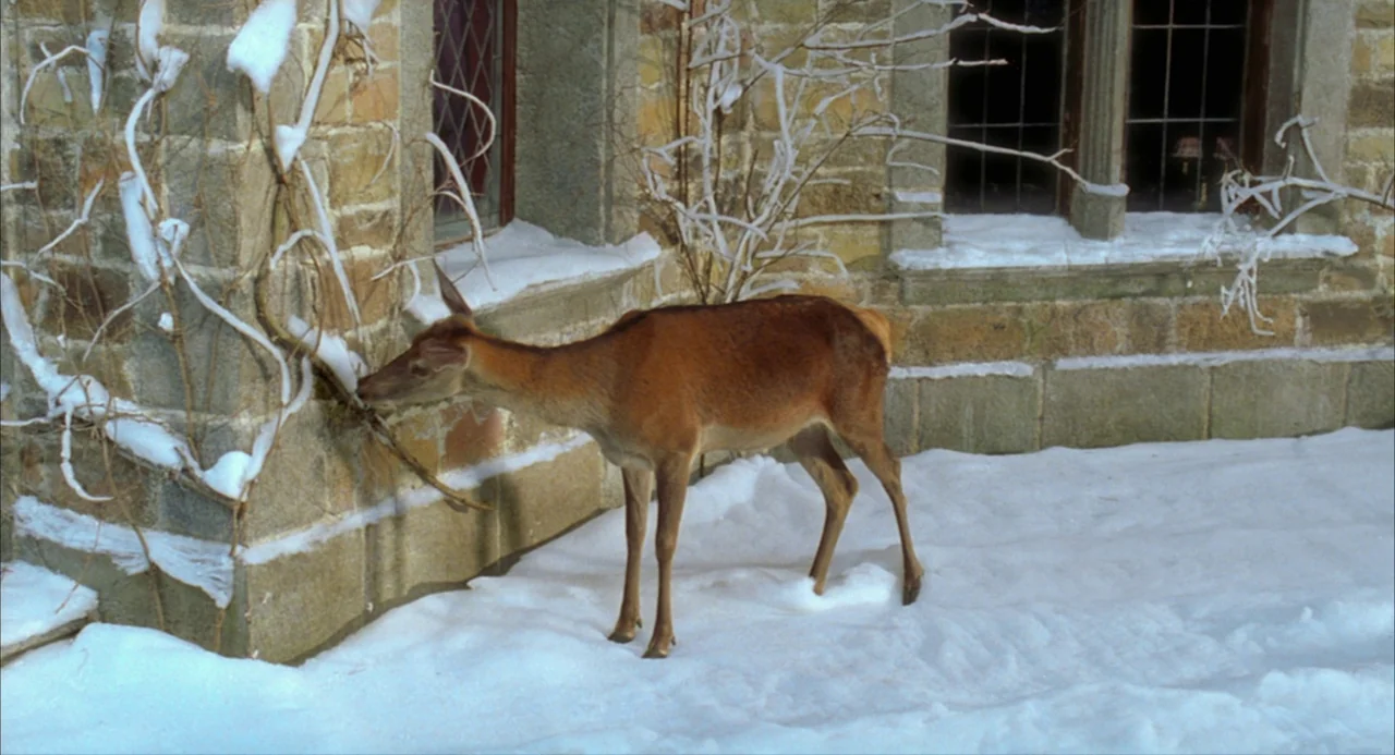 8 Women (2002) movie still: fullbody — A stone wall with leaded glass windows is covered in light, patchy snow. A deer standing in the snow nibbles…