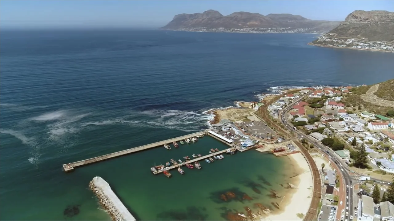 Alien Sharks: Strange New Worlds (2023) movie still: establishing — A high-angle aerial view shows a coastal harbor with multiple small boats…