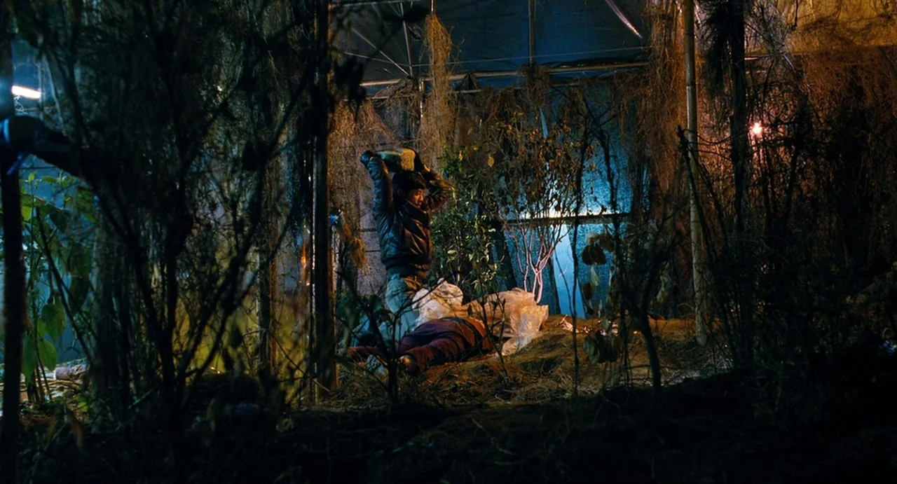 I Saw The Devil (2010) movie still: fullbody — A dark greenhouse enclosure filled with dead vegetation and dangling, dried plant matter. A person…