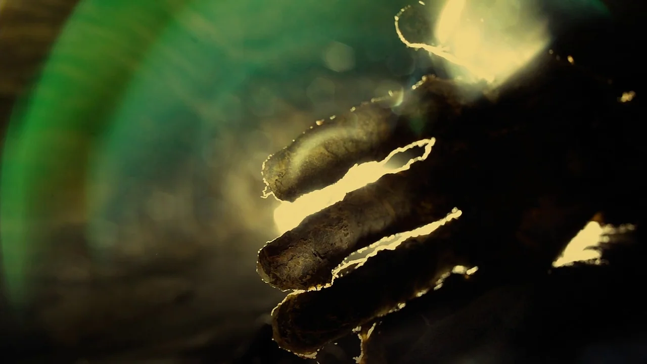 In The Heart of the Sea (2014) movie still: closeup — A dark, submerged environment where a single hand floats in murky water. Backlighting…