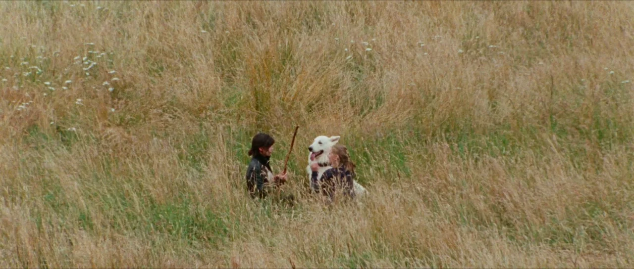 Inexorable (2021) movie still: wide — A vast expanse of dry, waist-high golden grass under diffuse daylight. Two women sit on the ground,…
