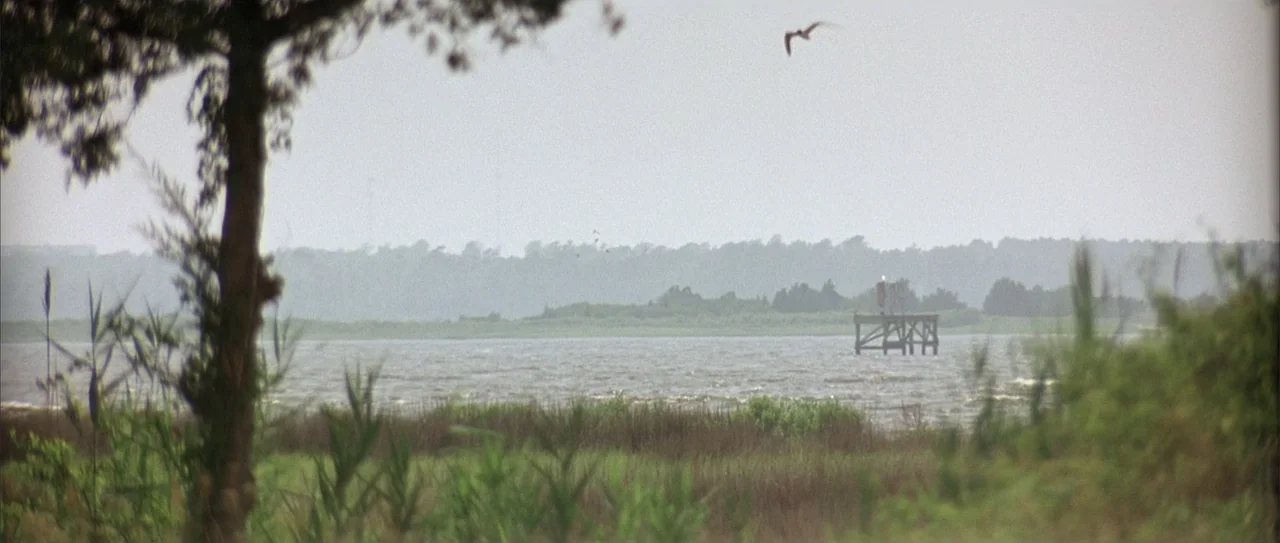 A Walk to Remember (2002) movie still: wide — A flat coastal salt marsh environment features grasses in the foreground and open water. A wooden…