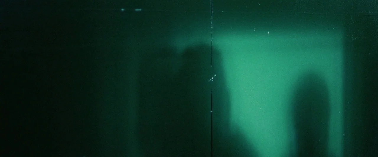 Mangrove (2020) movie still: establishing — A flat, dark green surface is illuminated from behind to reveal abstract shadow shapes. No specific…