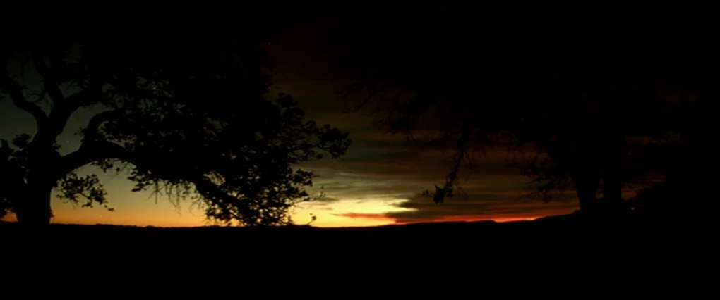 Silent Light (2007) movie still: wide — A wide desert horizon at dusk with silhouettes of gnarled trees framing the view. The sun casts a horizontal…