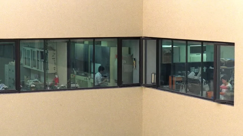 The Terrorizers (1986) movie still: wide — A light-colored building exterior features a long horizontal window looking into a laboratory. Two people…