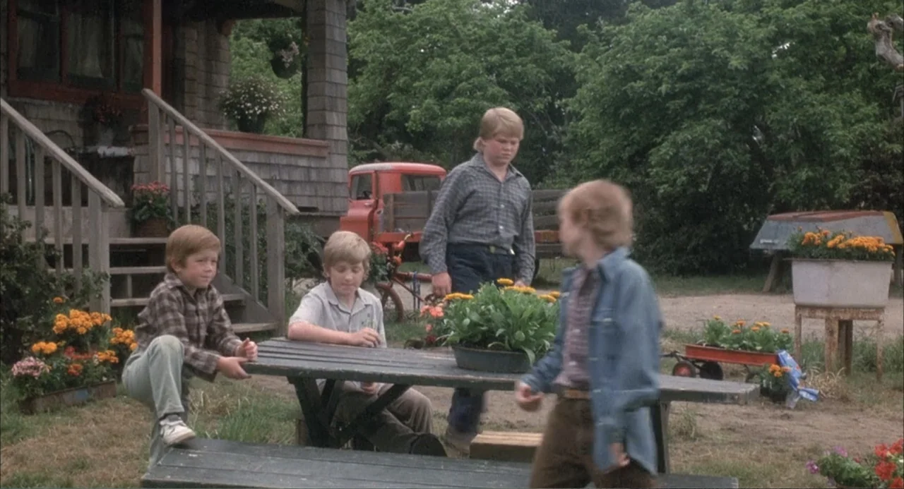 Overboard (1987) movie still: medium — An outdoor yard area contains a picnic table surrounded by planters and wooden steps. Three young boys stand…