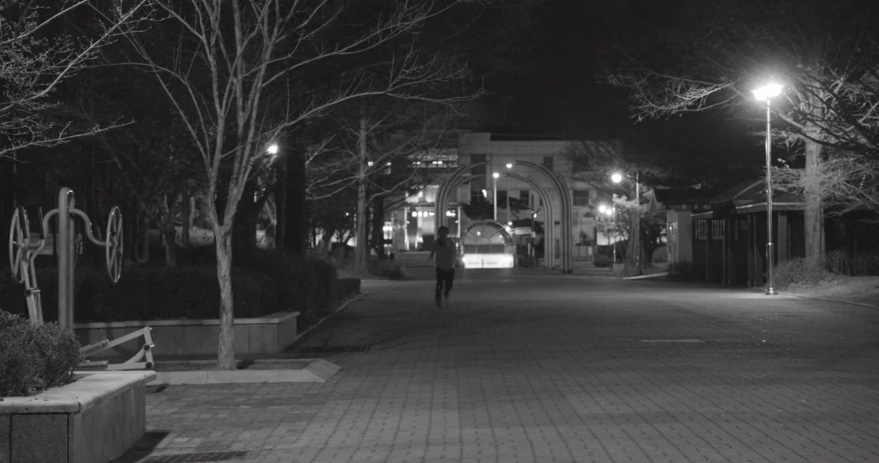 The Day After movie still: wide — A paved park walkway at night illuminated by spaced streetlights and bare trees. A lone male runs directly toward…