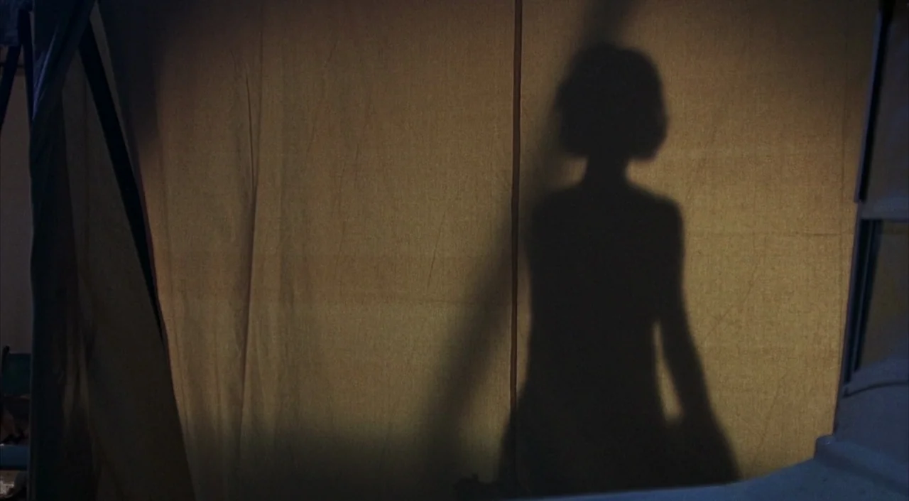 Dr. Phibes Rises Again (1972) movie still: medium — A dark, opaque silhouette of a person appears projected onto a tan canvas surface. The fabric…