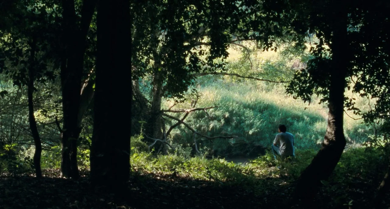 Uncle Boonme Who Can Recall His Past Lives (2010) movie still: wide — A dense forest clearing is bordered by tall, dark tree trunks in the…