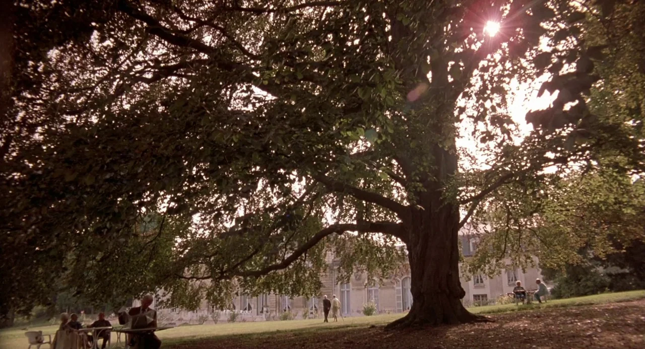 Three Colours: Blue (1993) movie still: wide — A sprawling estate grounds features a large, mature tree casting shadows over a lawn. Several people…