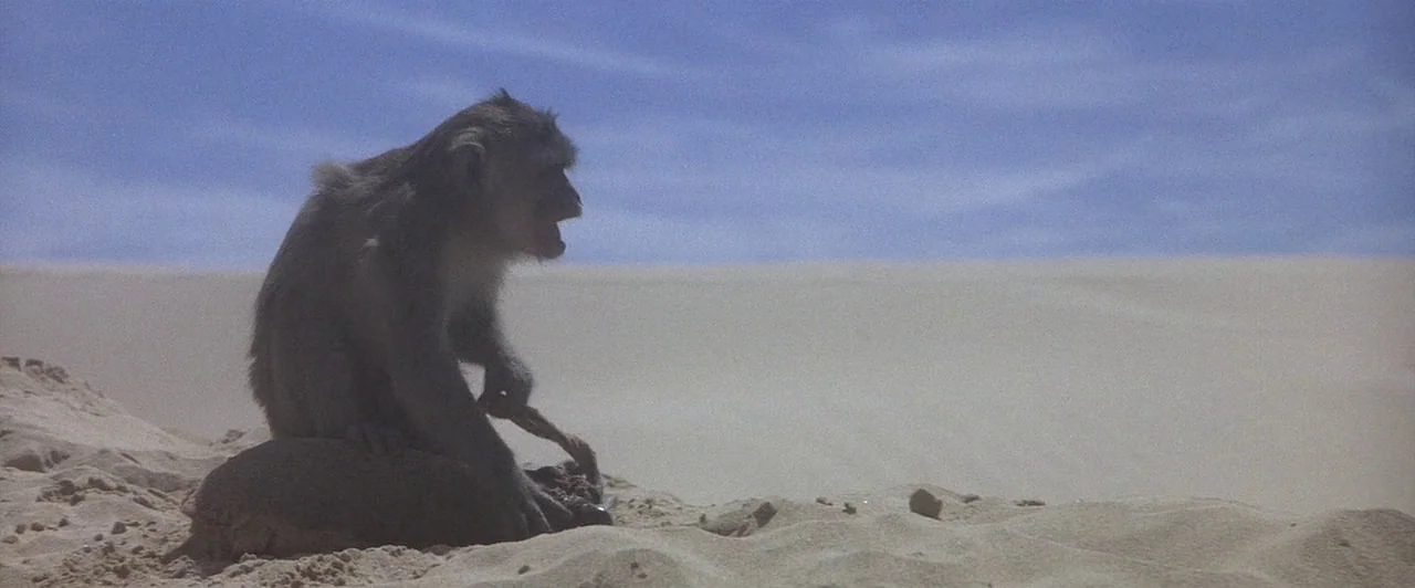 Mad Max Beyond Thunderdome (1985) movie still: wide — A desolate, vast desert landscape extends to the horizon under a clear blue sky. A small…