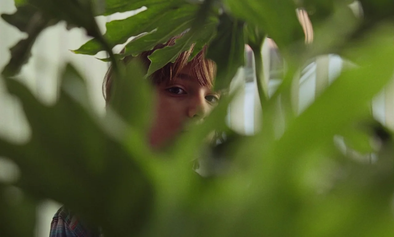 Marriage Story movie still: closeup — A child stands behind a large green philodendron plant inside a brightly lit room. The plant leaves partially…
