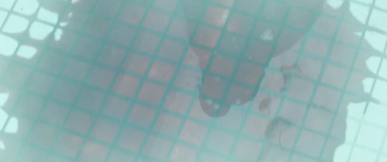 The Empty Man (2020) movie still: closeup — A top-down view of turquoise pool tiles underwater partially obscured by rippling water surface. The…