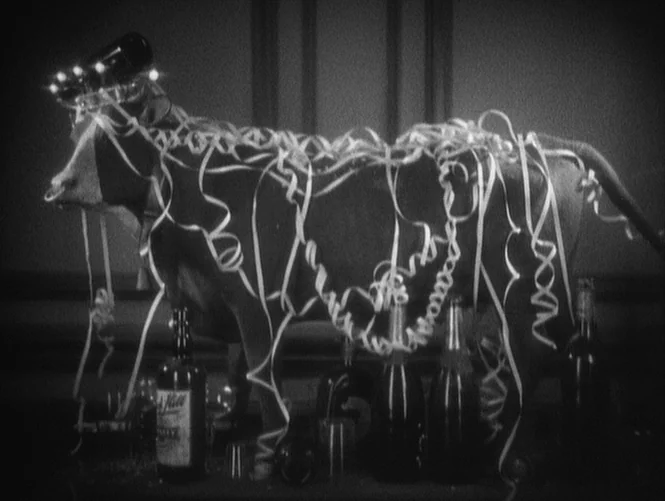 Underworld (1927) movie still: fullbody — A dark indoor space featuring a cow draped in long, flowing party streamers. Several glass bottles are…