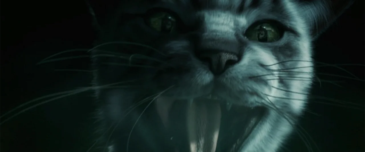 Catwoman (2004) movie still: closeup — A dark, undifferentiated background frames the extreme close-up of a cat's head. The cat faces forward with…