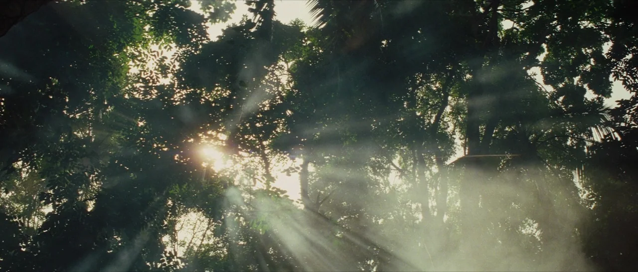 The Lost City of Z (2016) movie still: establishing — Dense tropical jungle canopy obscured by rising mist and thick foliage. Sunlight beams…