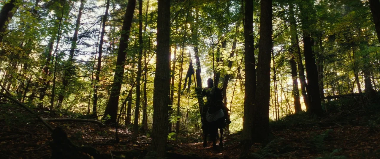 The Dead Don’t Hurt (2023) movie still: wide — A dense woodland with tall trees and scattered undergrowth illuminated by sunbeams. A lone figure on…