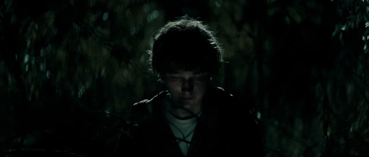 Swiss Army Man (2016) movie still: medium — A dense patch of dark woods surrounds a person standing at night. The individual looks downward while…