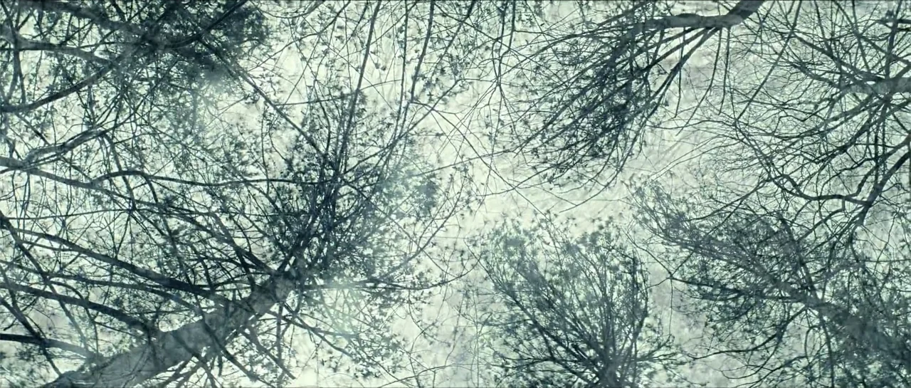 Cosmic Sin (2021) movie still: establishing — A dense network of bare tree branches frames the view looking straight upward. No people are visible…