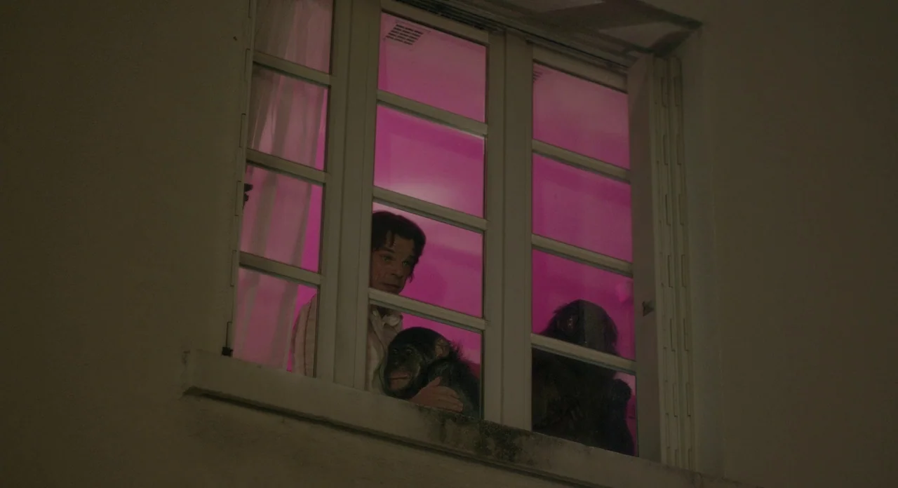 Holy Motors (2012) movie still: medium — A dark exterior building wall features an open window glowing with magenta light. A man and a chimpanzee…