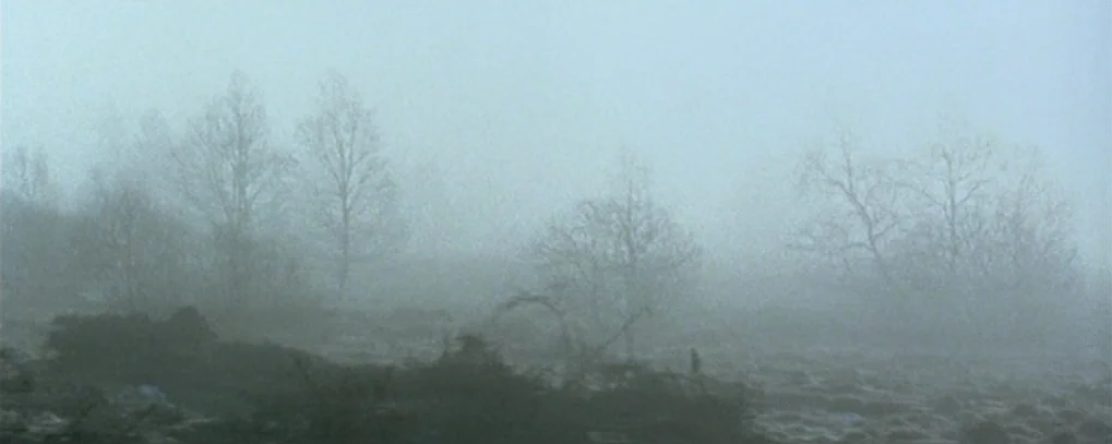 Calvaire (2004) movie still: establishing — A flat field filled with dense, low-hanging fog and sparse, bare trees. The landscape is obscured by…