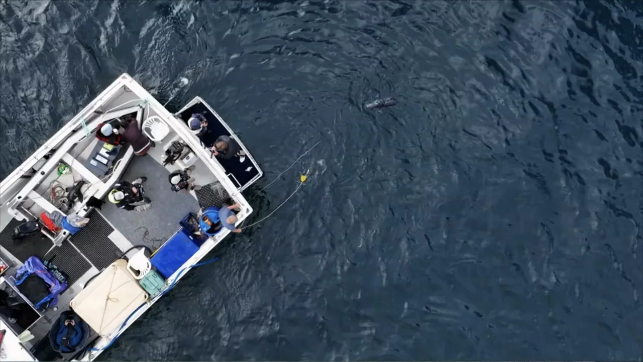 Shark Week: Off the Hook (2023) movie still: establishing — A top-down view shows a boat floating in dark blue open water. Several individuals stand…